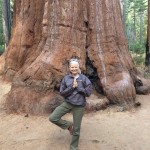 Mary doing tree pose for a Sequoia