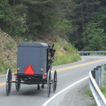 Buggy on the highway