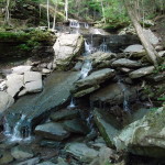Trailside cascade on Pine Creek