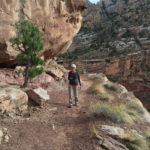 Golden Throne Trail, Capitol Reef National Park