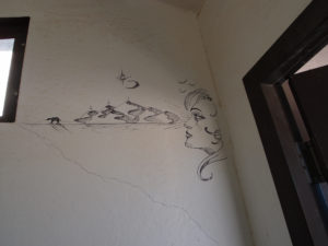 Art in a vault toilet, lower Saline Valley hot spring