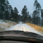 Diving on the Forest Service Road in the snow