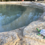 La Tortuga checking out the Sunrise Pool, lower hot springs Saline Valley